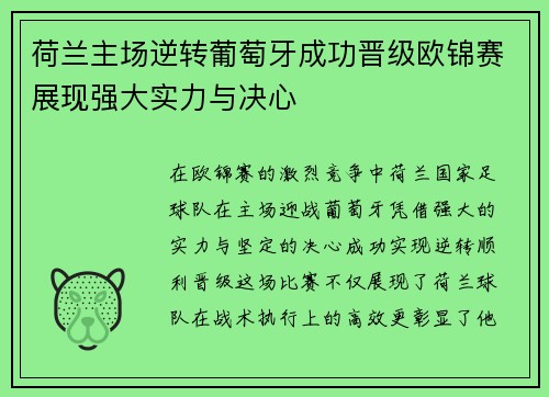 荷兰主场逆转葡萄牙成功晋级欧锦赛展现强大实力与决心